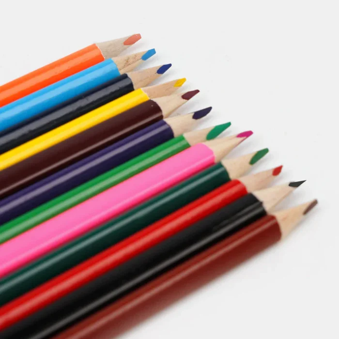 BERTAND COLORED PENCIL FOR KIDS |12 COLORS - Image 3